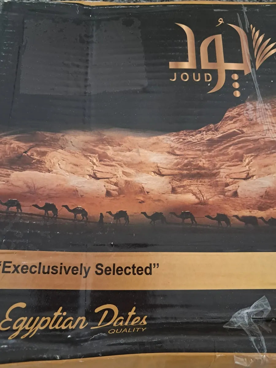 Datiles de Egipto con carozo
